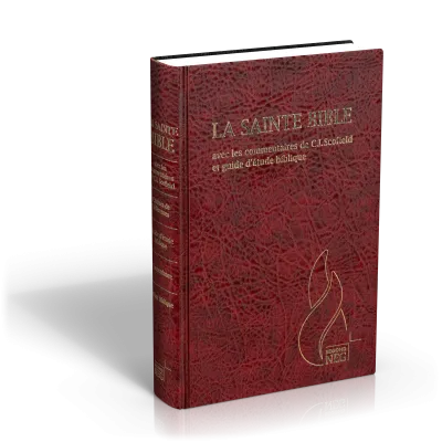 Bible d'étude Segond NEG Scofield, grenat - couverture rigide, similicuir