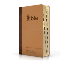 Bible Segond 21 compacte (Premium Style) - couverture semi-rigide duo cuir praliné-chocolat, avec...