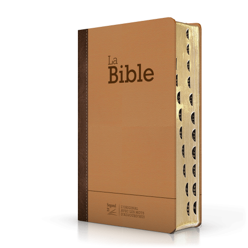 Bible Segond 21 compacte (Premium Style) - couverture semi-rigide duo cuir praliné-chocolat, avec...