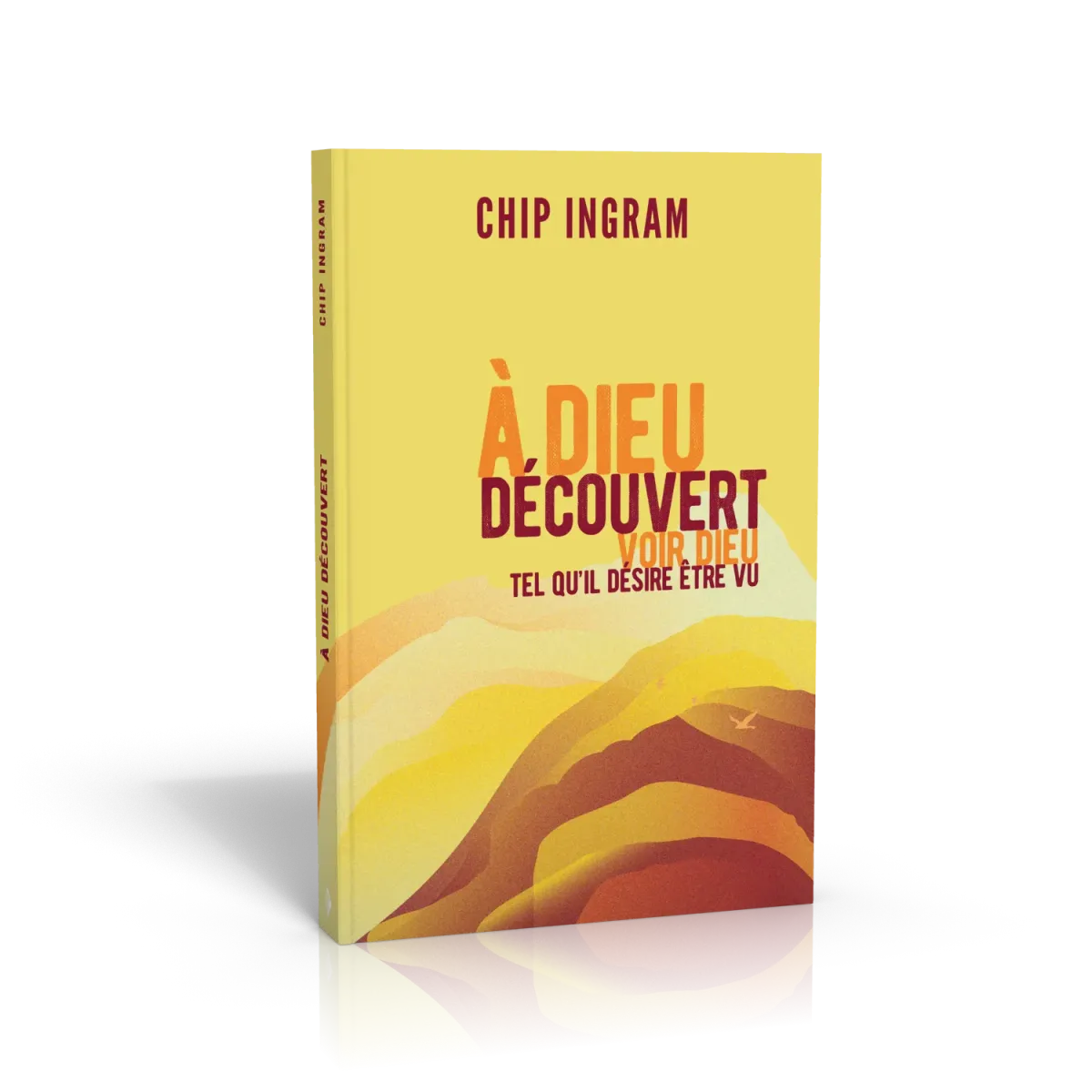 À Dieu découvert - Voir Dieu tel qu’il désire être vu