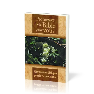 Promesses de la Bible pour vous - 1500 citations bibliques pour la vie quotidienne
