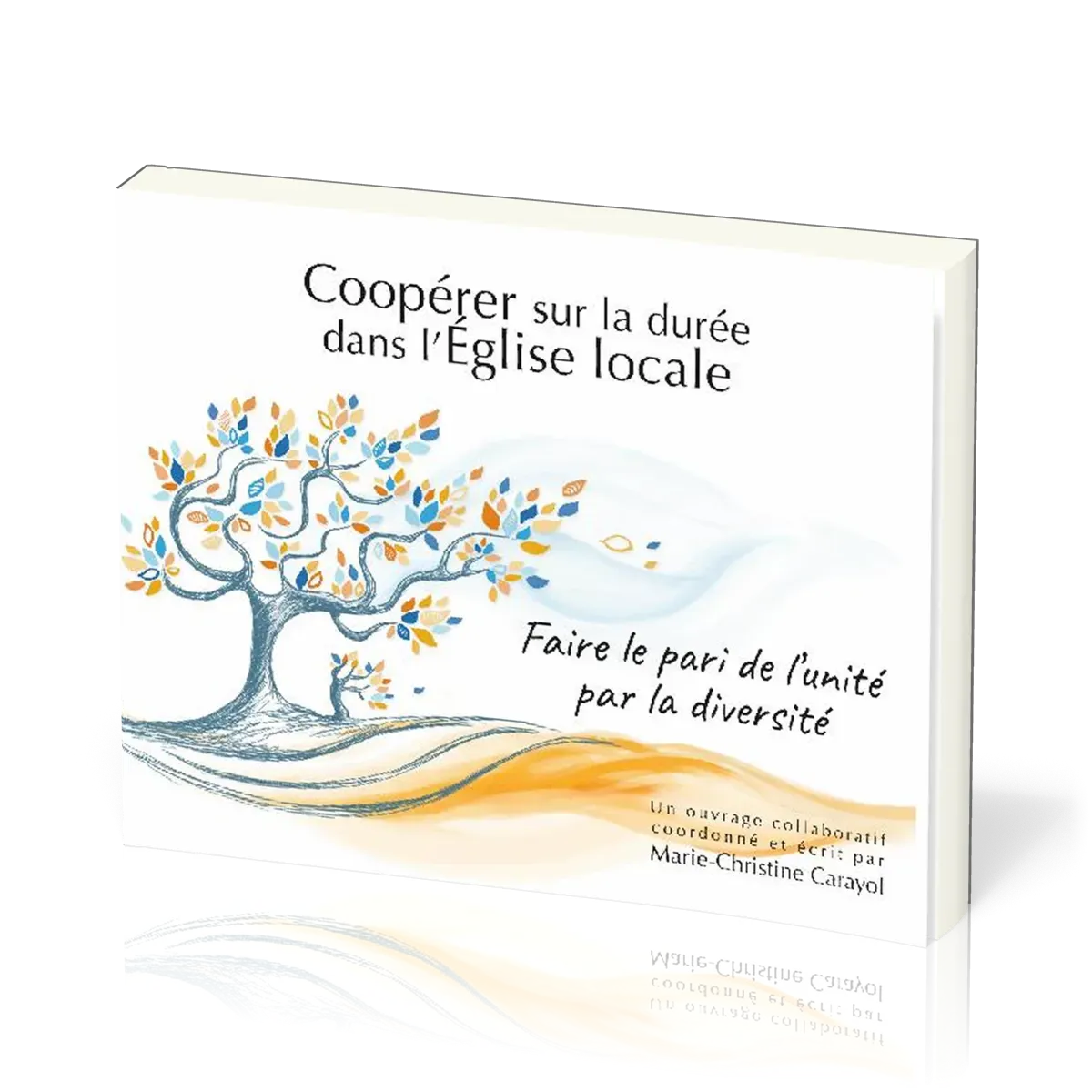 Coopérer sur la durée dans l'Eglise locale