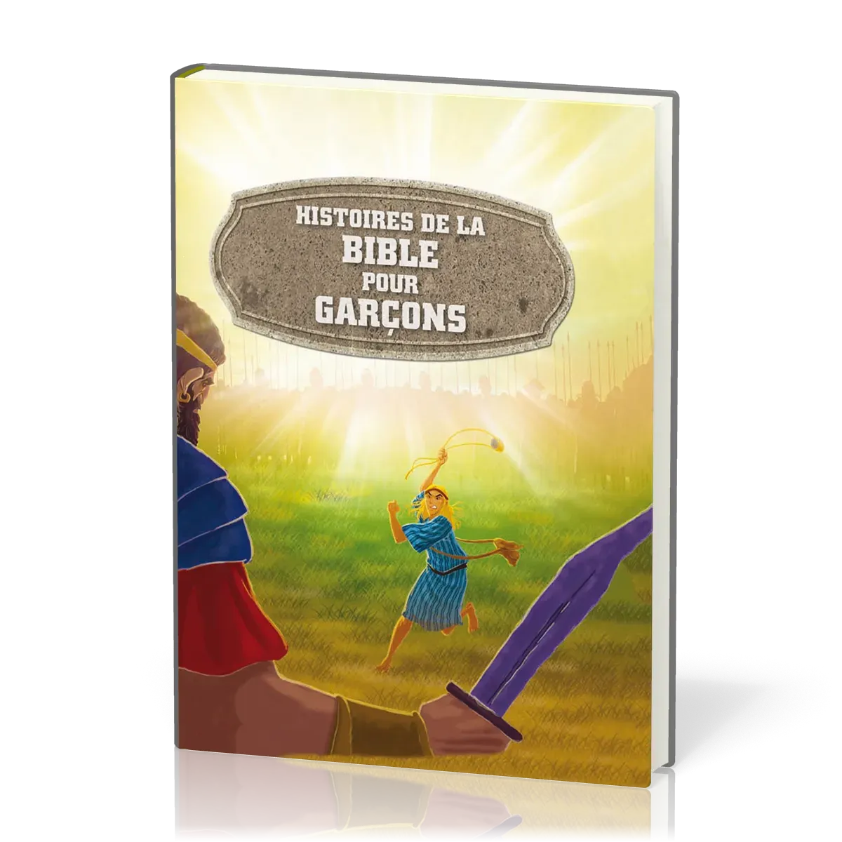 Histoires de la Bible pour garçons