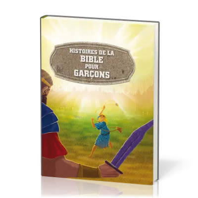 Histoires de la Bible pour garçons