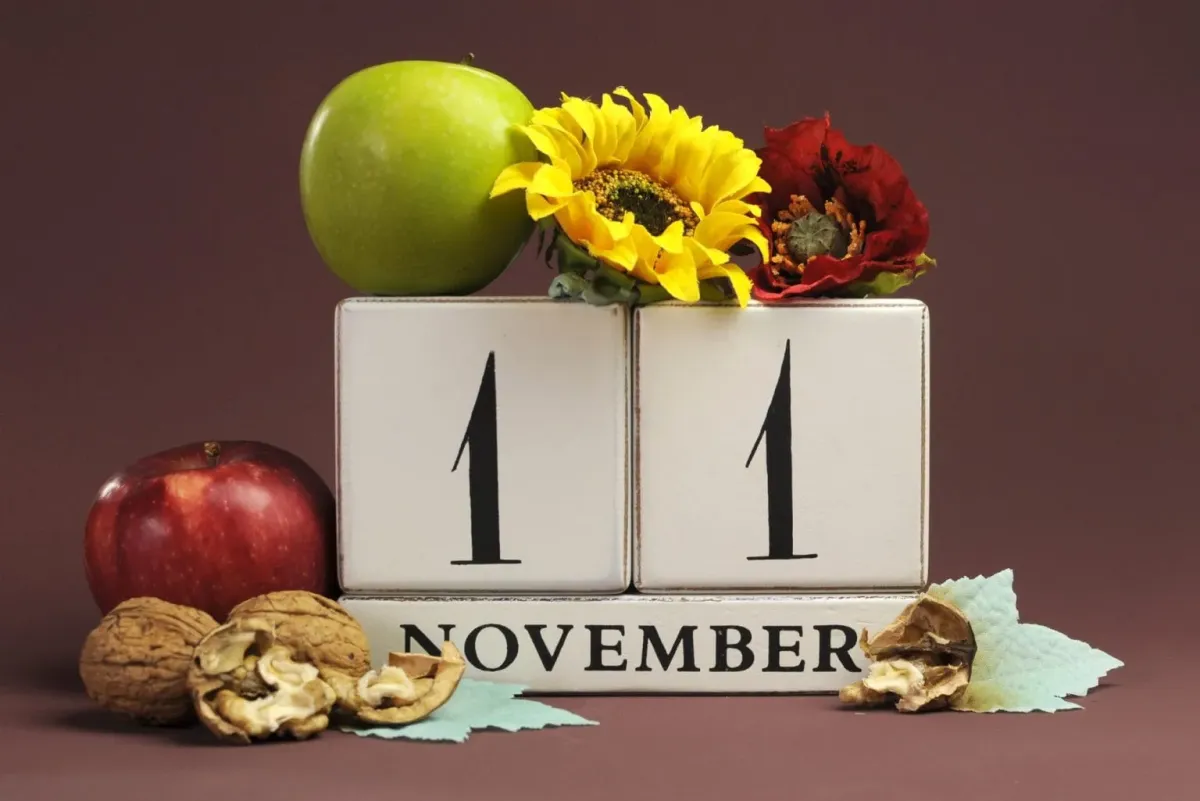  C EST FERIE 
 MAIS LE MAGASIN EST OUVERT 
 LE 11 NOVEMBRE 